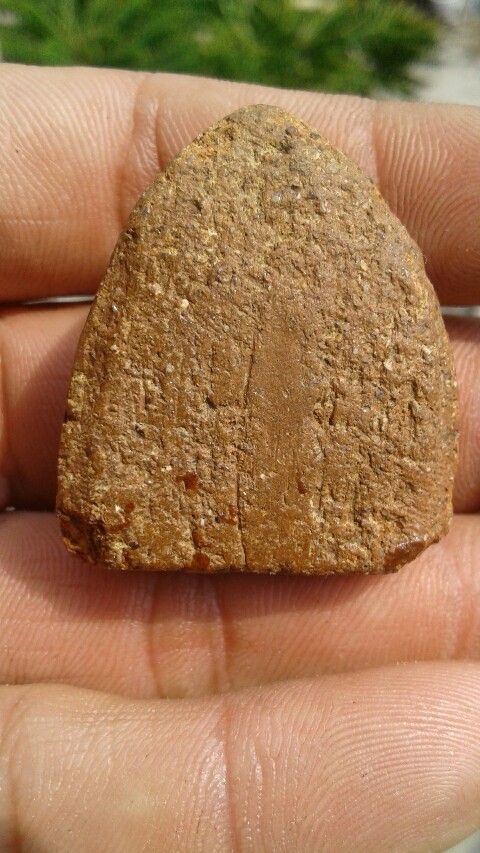 พระหลวงพ่อโต รึวัดบางกระทิง