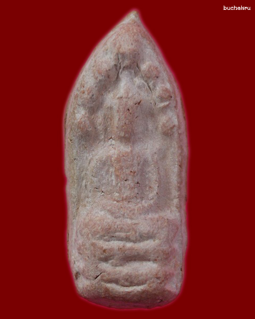 พระปฐวีธาตุ พิมพ์พระนาคปรก รุ่น แซยิด 80 ปี พ.ศ.2541 หลวงปู่หงษ์ พรหมปัญโญ 