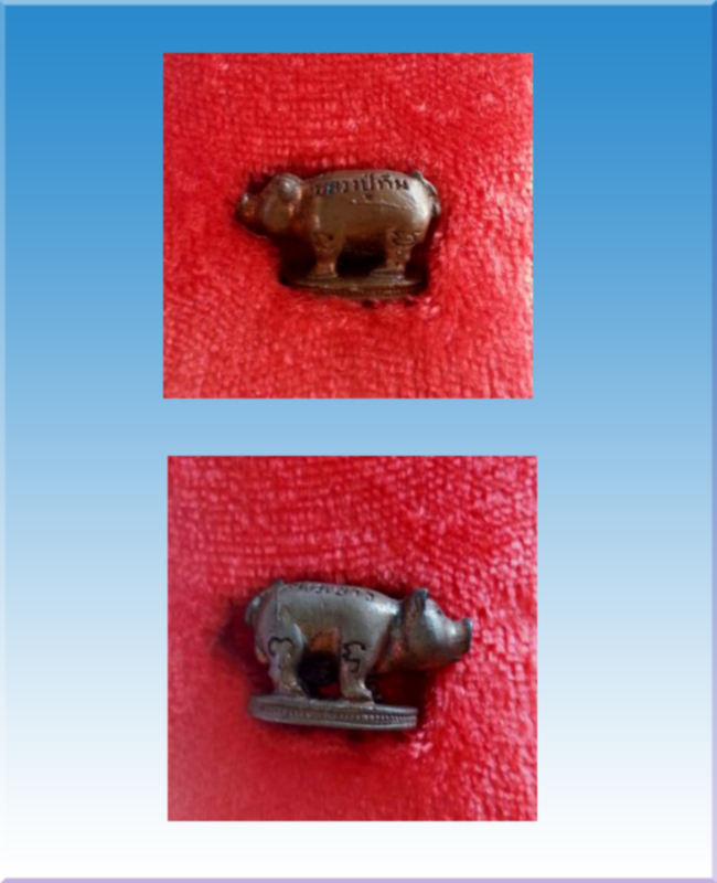 หมูคุ้มภัย มหาลาภ หลวงปู่ทิม วัดพระขาว ปี2541