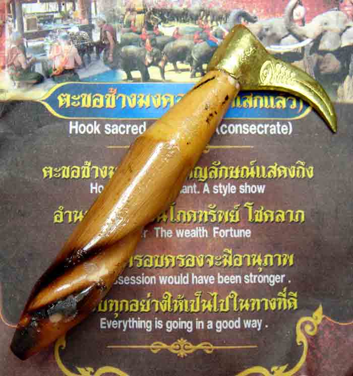 ***ตะขอช้างเล็กพิเศษ *** ((( พิเศษอันเล็กพืเศษสำหรับพกพา)))***