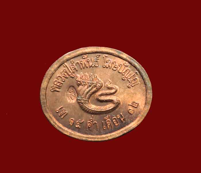 เหรียญเม็ดแตงพญานาค 5 เศียร สร้างเพื่อแจกกรรมการในพิธีพุทธาภิเษกวัตถุมงคล รุ่นปัฐวีธาตุ 15 ค่ำเดือน