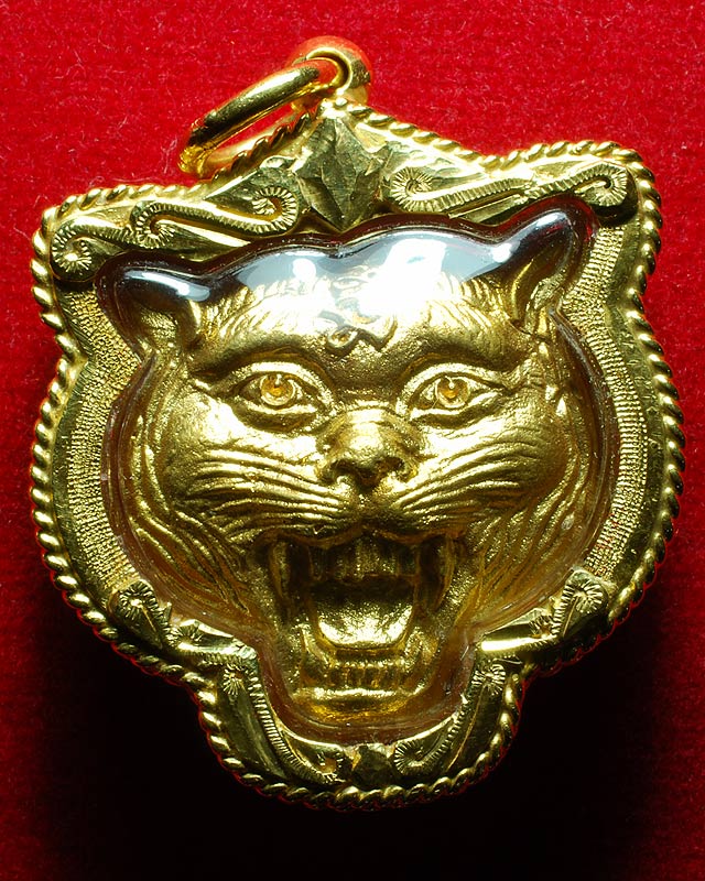 หน้าเสือรุ่นใหญ่เนื้อทองคำ