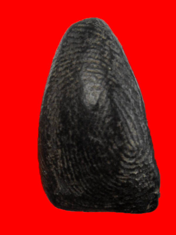 พระรอด หลวงพ่อกวย วัดโฆสิตาราม จ.ชัยนาท...เนื้อดำ