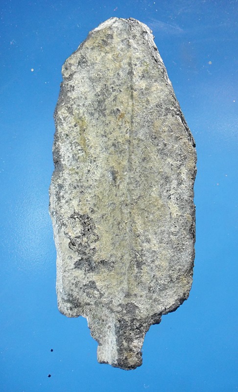 พระร่วงยืนประทานพรกรุวังเพิ่มชินเงินพิมพ์ใหญ่ จ.ขอนแก่น