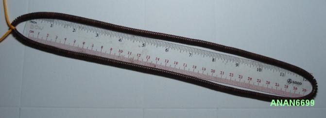 เม็ดกะลาแท้ เนื้อกระลาสีน้ำตาล ยาว 26 นิ้ว...เคาะเดียว แท้ๆจากสินค้า โอทอป 5 ดาว