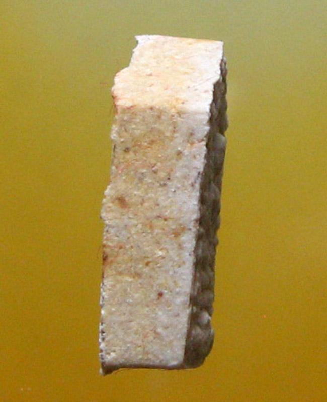 หลวงพ่อสาคร มนุญฺโญ วัดหนองกรับ อ.บ้านค่าย จ.ระยอง (ศิษย์เอกหลวงปู่ทิม )