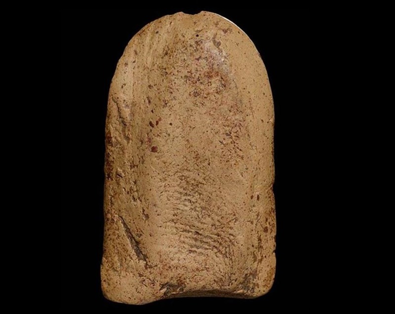 พระคงกรุเก่าเร้าใจ สวยคลาสสิค จัดจ้าน