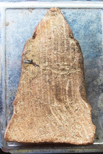 พระโคนสมอกรุวังหน้า เนื้อดิน สวยๆครับ