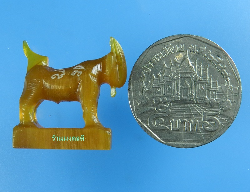 แพะมหาเสน่ห์ แกะจากเขาควาย สีน้ำผึ้งเข้ม สวยคลาสิค หลวงพ่อสิน วัดละหารใหญ่ (สภาพสวย) No.25