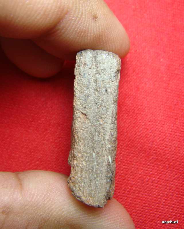 พระแผงสิบชาติ (ตัดเดี่ยว) เนื้อดิน ใส้ดำ จ.อยุธยา ดูง่ายครับ