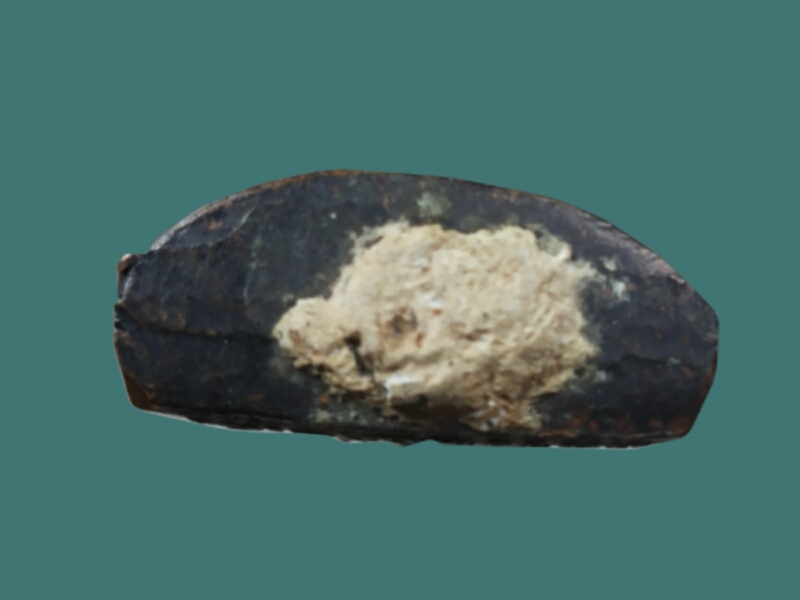 รูปเหมือนปั๊ม หลวงพ่อกิ้มเส็ง วัดบางมด กรุงเทพฯ