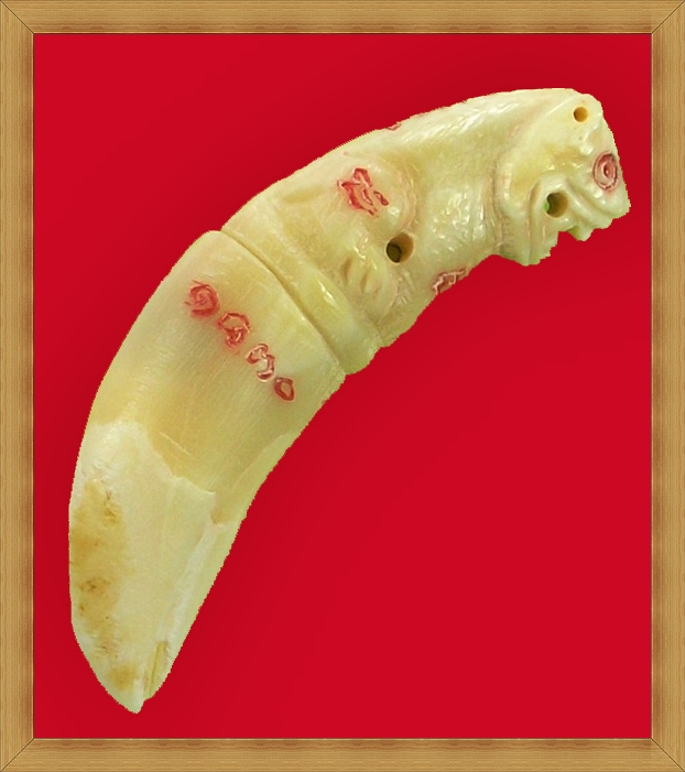เขี้ยวเสือไฟ รุ่นฉลองอายุวัฒนมงคล หลวงพ่อเพี้ยน วัดเกริ่นกฐิน ลพบุรี