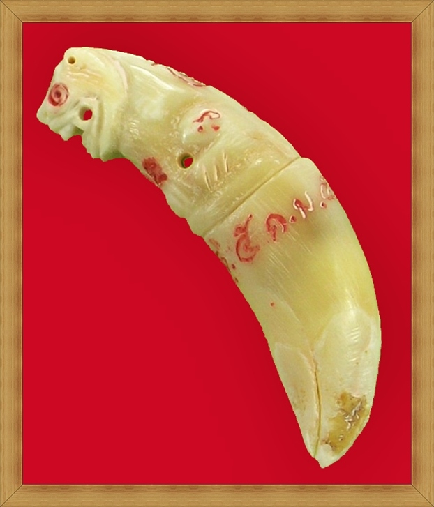 เขี้ยวเสือไฟ รุ่นฉลองอายุวัฒนมงคล หลวงพ่อเพี้ยน วัดเกริ่นกฐิน ลพบุรี