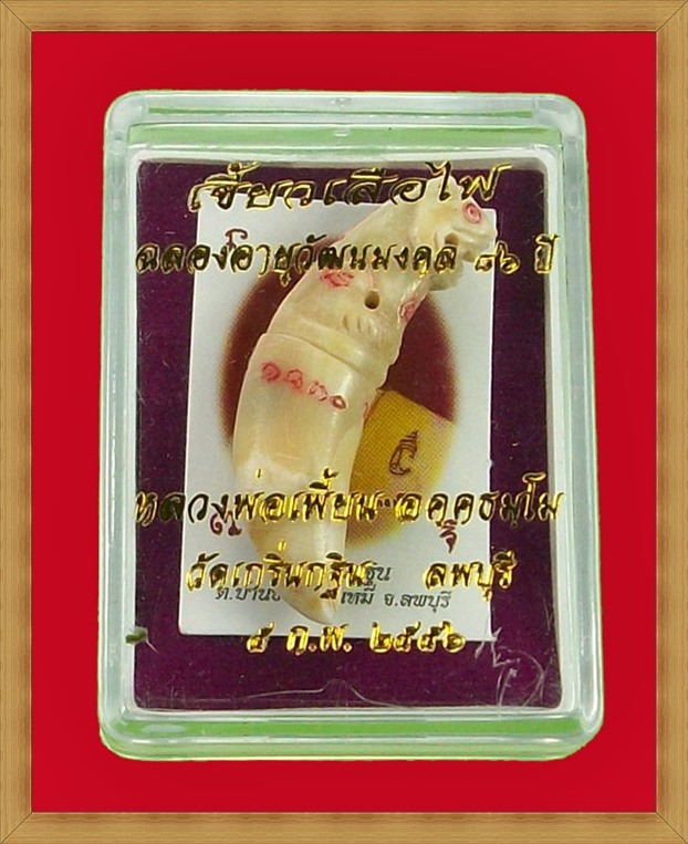 เขี้ยวเสือไฟ รุ่นฉลองอายุวัฒนมงคล หลวงพ่อเพี้ยน วัดเกริ่นกฐิน ลพบุรี