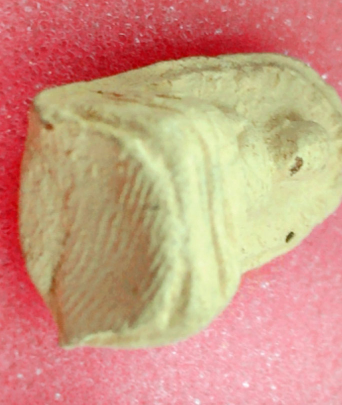 พระรอด วัดพระสิงห์ จ.เชียงใหม่ พ.ศ.๒๔๙๖ พิมพ์หน้าเทวดา เนื้อสีขาว