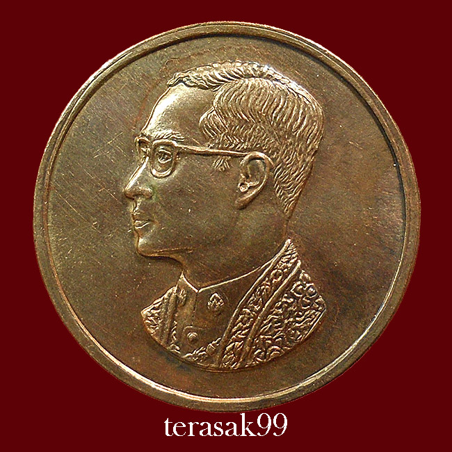 เหรียญคุ้มเกล้าในหลวง เนื้อนวะ ปี 2522 หลวงปู่โต๊ะ วัดประดู่ฉิมพลีร่วมปลุกเสก(2)
