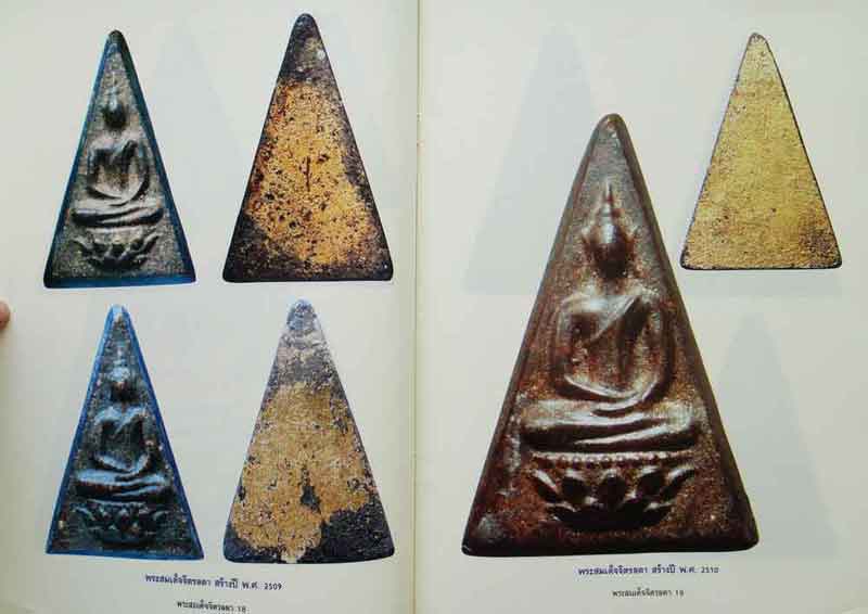 หนังสือ เรียนรู้ เจาะลึก สมเด็จจิตรลดา พระกำลังแผ่นดิน