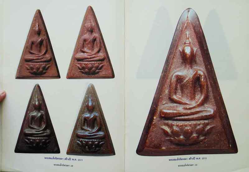 หนังสือ เรียนรู้ เจาะลึก สมเด็จจิตรลดา พระกำลังแผ่นดิน