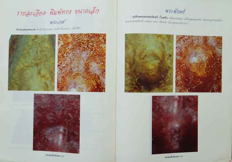 หนังสือ เรียนรู้ เจาะลึก สมเด็จจิตรลดา พระกำลังแผ่นดิน