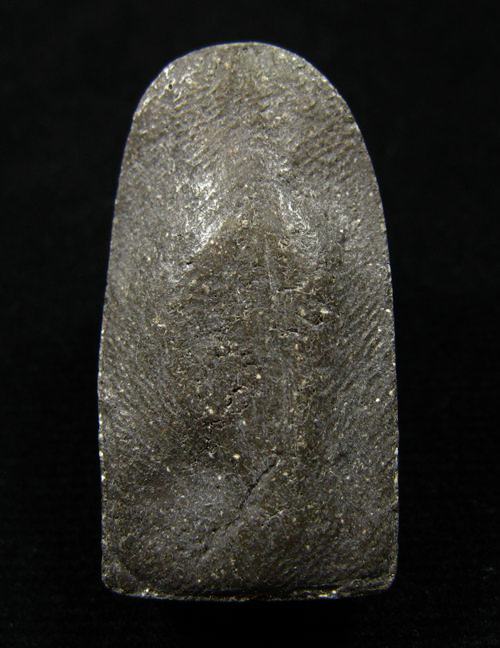 หลวงปู่ทวดพิมพ์พระรอด รุ่นพระเจ้า 5 พระองค์ หลวงปู่หมุน วัดบ้านจาน ปลุกเสก 2542 #4