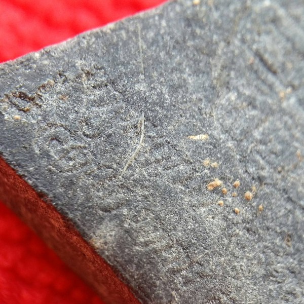 นางพญา สาริกา ทิพย์สุวรรณ หลวงปู่คำพันธ์ มาพร้อมเกศา