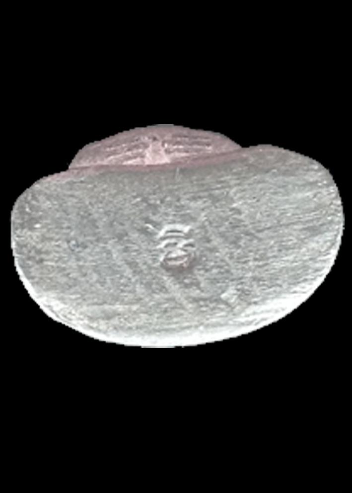 พระสังกัจจายน์ หลวงพ่ออุ้น วัดตาลกง