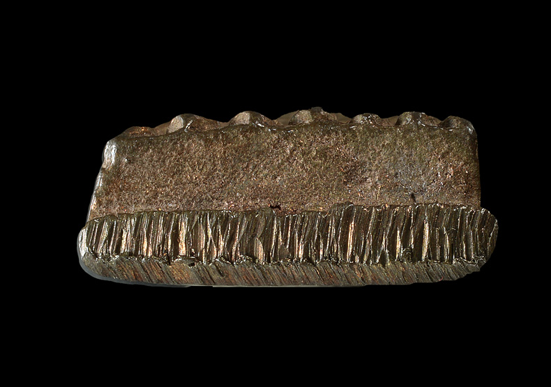 หลวงปู่ทวด หลังเตารีด พิมพ์เล็ก เนื้อนวะโลหะ รุ่นสร้างโรงพยาบาลโคกโพธิ์ ปี 2539