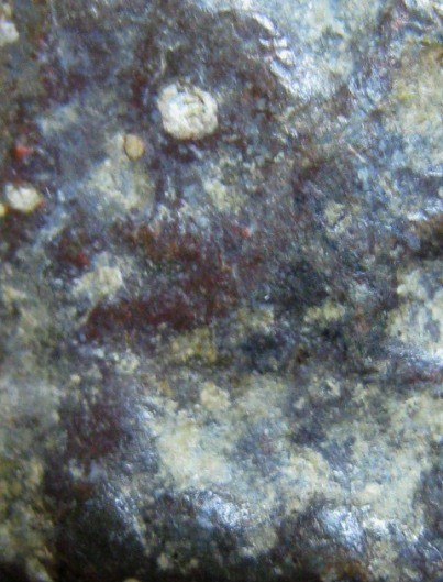 พระเล็บมือ เนื้อตะกั่วสนิมแดง กรุวัดสุวรรณ จ.อ่างทอง มาพร้อมบัตรรับรองความแท้