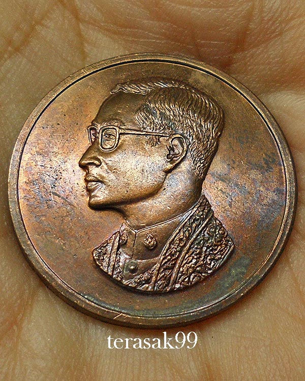 เหรียญคุ้มเกล้าในหลวง เนื้อนวะ ปี 2522 หลวงปู่โต๊ะ วัดประดู่ฉิมพลีร่วมปลุกเสก(2)