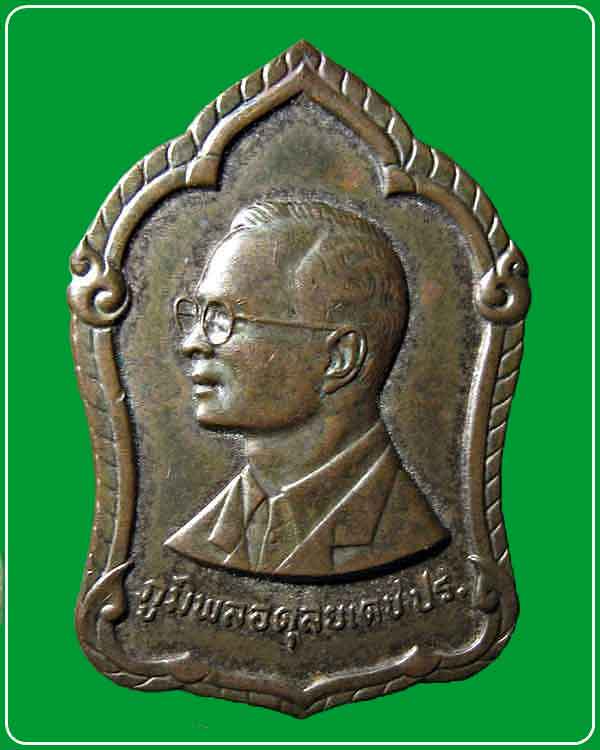 เหรียญ 6 รอบในหลวง ร้อยใจปวงประชา ร่วมใจบริจาคโลหิต ปี 2542 บล็อกกษาปณ์ 