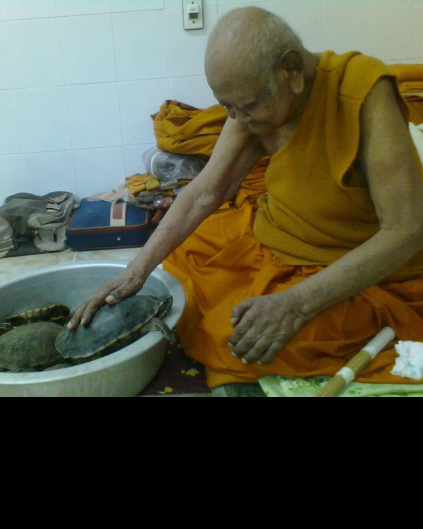 เต่ากัสสโป ขนาดบูชา หลวงปู่หงษ์ พรหมปัญโญ