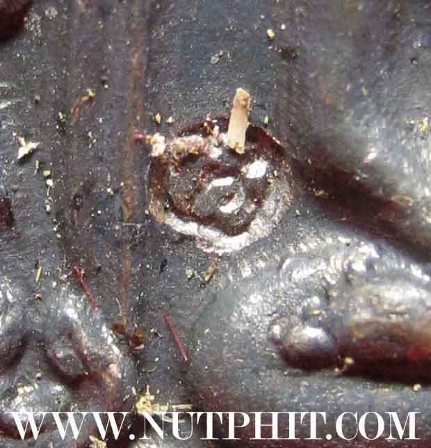 6*เหรียญเจ้าสัว* หลวงพ่อเกษม เขมโก ท่านพร้อมที่จะเป็นเจ้าสัวได้แล้ว*