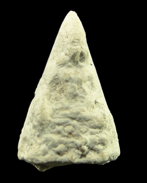 พระชัยวัฒน์เนื้อผงพุทธคุณ หลวงปู่ดู่ วัดสะแก อยุธยา