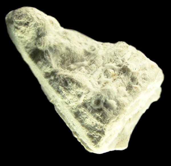 พระชัยวัฒน์เนื้อผงพุทธคุณ หลวงปู่ดู่ วัดสะแก อยุธยา