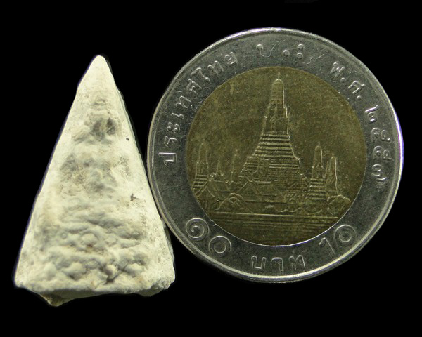 พระชัยวัฒน์เนื้อผงพุทธคุณ หลวงปู่ดู่ วัดสะแก อยุธยา