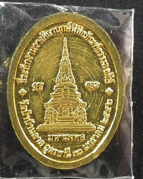 เหรียญiรูปไข่ครึ่งองค์หลังเจดีย์หลวงตามหาบัว  ปี ๒๕๕๖