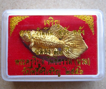 ปลากัดมหาลาภ หลวงพ่อน่วม วัดโพธิ์ศรีเจริญ จ.สุพรรณบุรี ปี2556 หางโบก นิยม พร้อมกล่องเดิม
