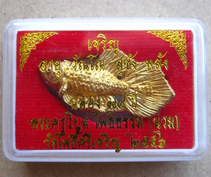 ปลากัดมหาลาภ หลวงพ่อน่วม วัดโพธิ์ศรีเจริญ จ.สุพรรณบุรี ปี2556 หางโบก นิยม พร้อมกล่องเดิม