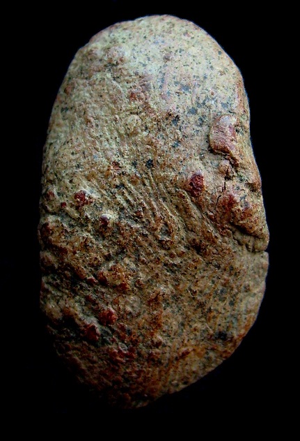 พระกำแพงนาคปรก เนื้อดิน กรุวัดพิกุล ที่สุดแห่งความงาม