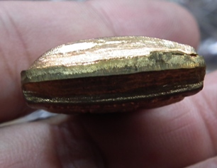 รูปเหมือนปั๊มสังฆติปัด รุ่นแรก หลวงพ่อพิน