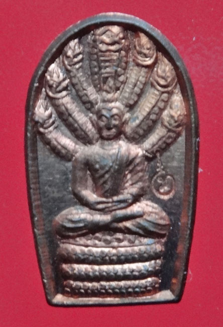 พระนาคปรก ครูบาเจ้าศรีวิไชย รุ่น เจริญพร หลวงปู่ทอง วัดพระธาตุจอมทอง จ.เชียงใหม่