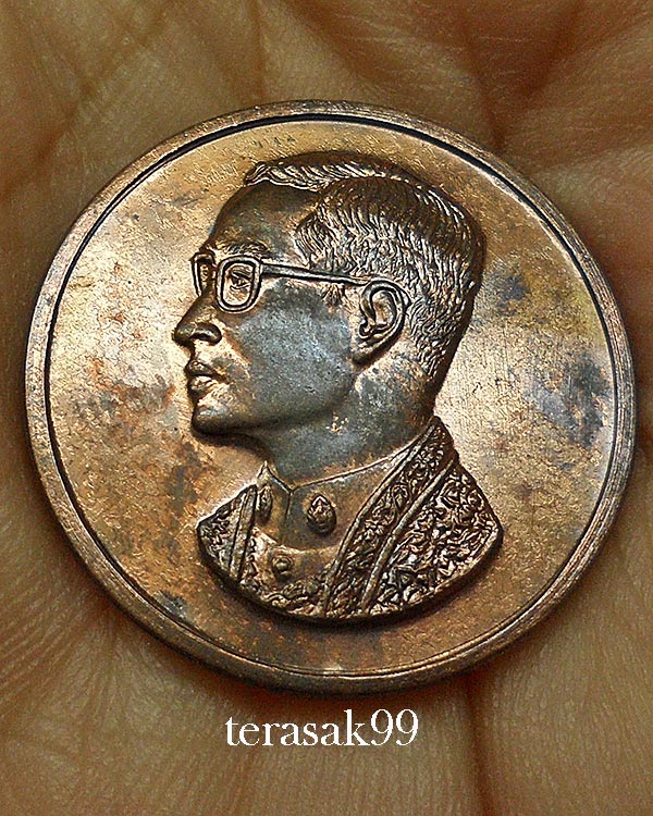 เหรียญคุ้มเกล้าในหลวง เนื้อนวะ ปี 2522 หลวงปู่โต๊ะ วัดประดู่ฉิมพลีร่วมปลุกเสก(5)