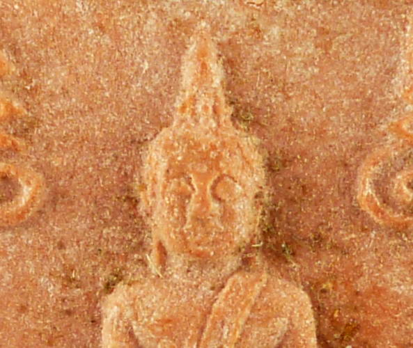 พระหางหมาก หลวงพ่อฤาษีลิงดำ วัดท่าซุง