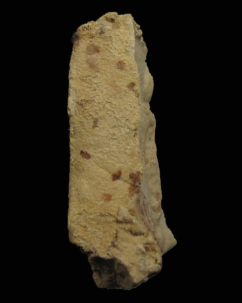 เคาะเดียวครับ - พระประจำวัน (วันจันทร์) กรุวัดชนะสงคราม กทม ปี 2491 องค์ที่ 2