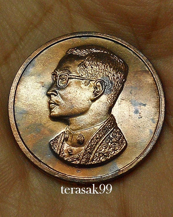 เหรียญคุ้มเกล้าในหลวง เนื้อนวะ ปี 2522 หลวงปู่โต๊ะ วัดประดู่ฉิมพลีร่วมปลุกเสก(8)