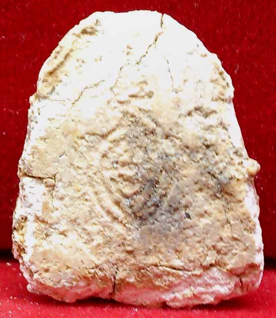 *ปิดตาผงเมตตา..ลพ.แช่ม วัดดอนยายหอม..ลงกรุวัดตะแบกโพรง ประจวบฯ(2)*