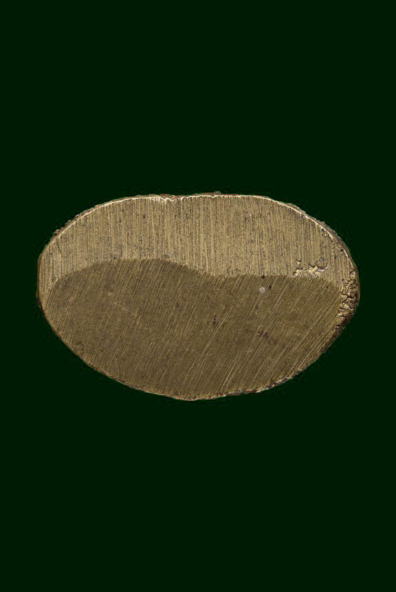 ชินราชอินโดจีน 2485 ต้อผิวมะระ น่ารักดีดูง่ายสุดๆ