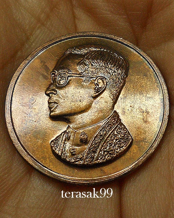 เหรียญคุ้มเกล้าในหลวง เนื้อนวะ ปี 2522 หลวงปู่โต๊ะ วัดประดู่ฉิมพลีร่วมปลุกเสก(11)
