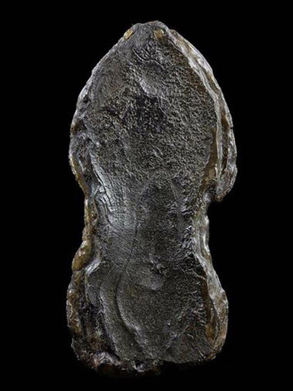 พระนาคปรกเนื้อชินเงิน กรุวัดพระศรี - วัดปืน จ.ลพบุรี