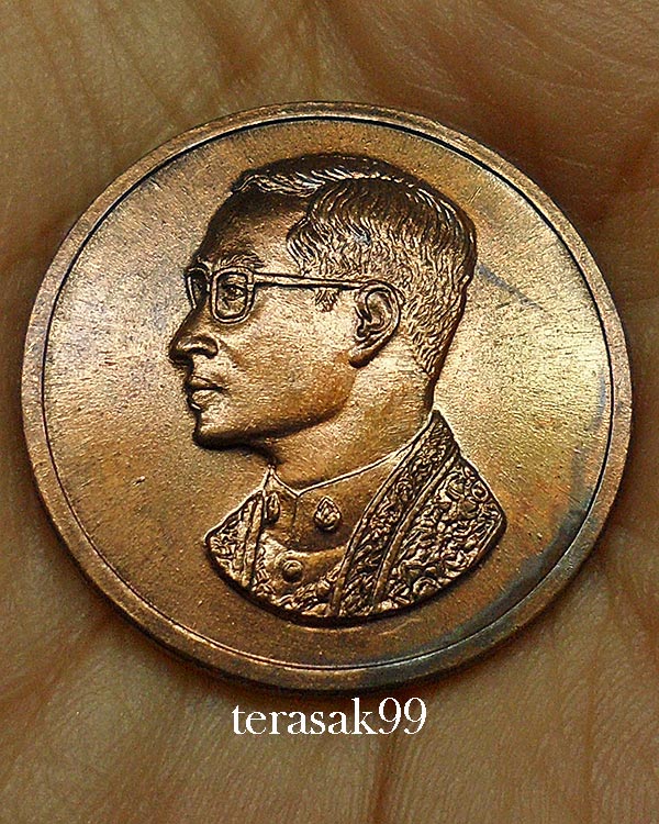 เหรียญคุ้มเกล้าในหลวง เนื้อนวะ ปี 2522 หลวงปู่โต๊ะ วัดประดู่ฉิมพลีร่วมปลุกเสก(13)